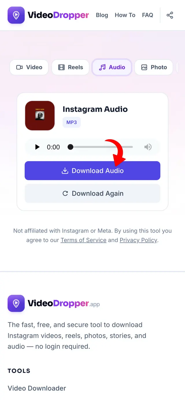 Step 3: Download MP3 audio