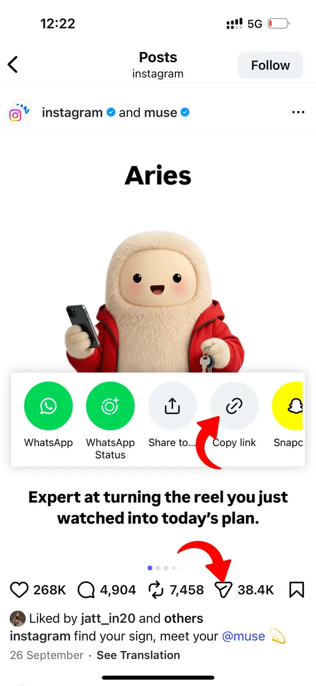 Step 1: Copy Instagram photo link
