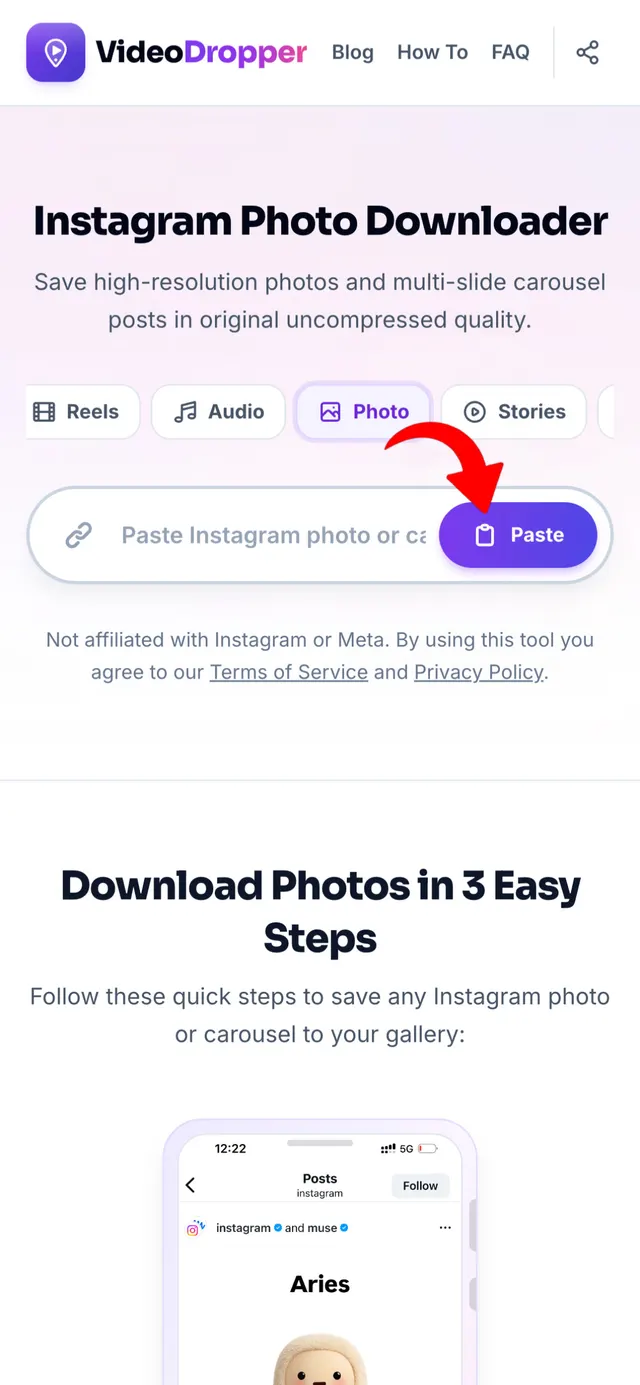 Step 2: Paste link into VideoDropper