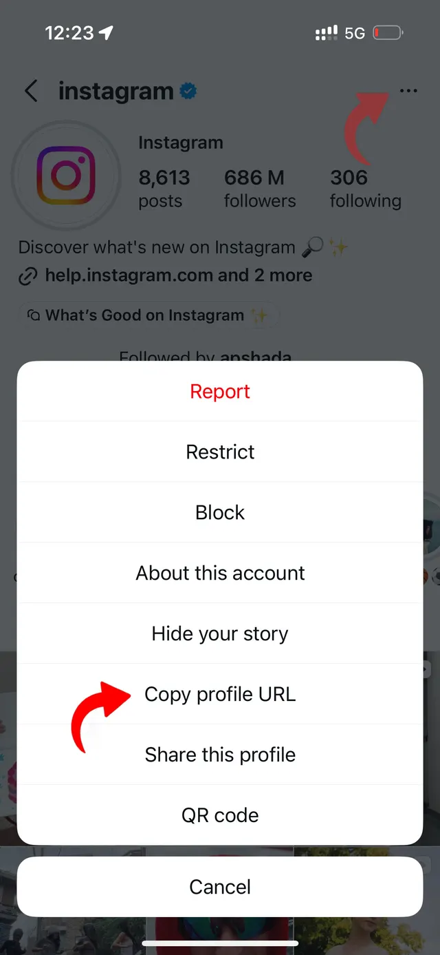 Step 1: Copy Instagram profile link or username