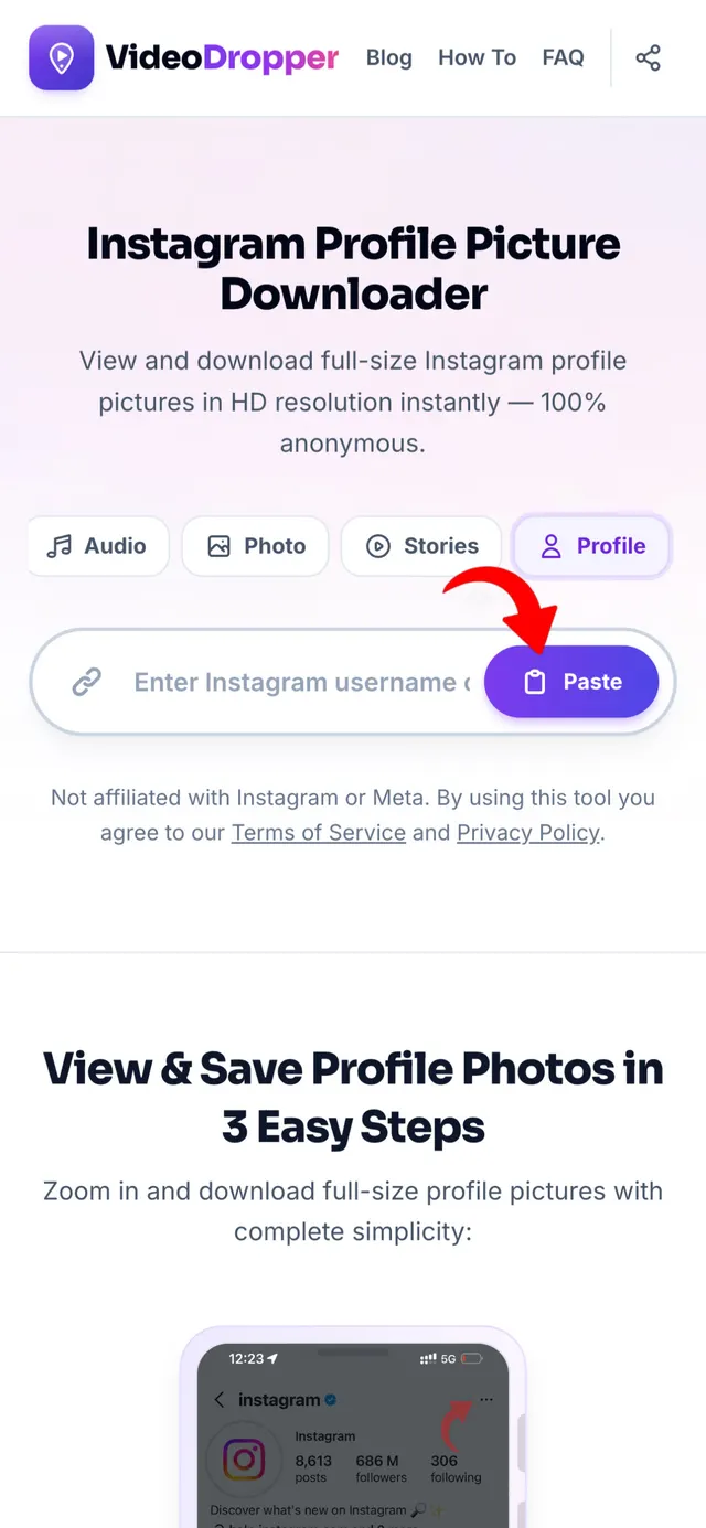 Step 2: Paste link into VideoDropper