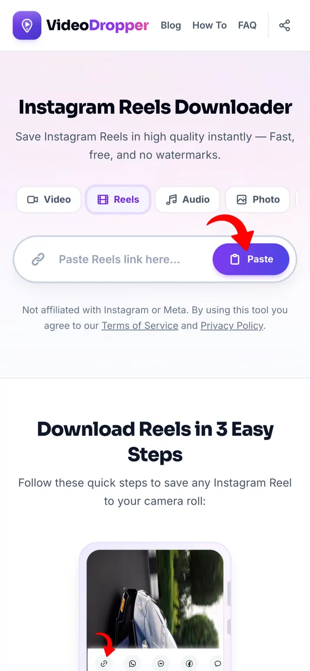 Step 2: Paste Reel link into VideoDropper