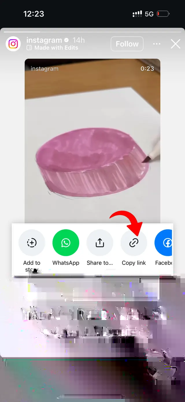 Step 1: Copy Instagram story link