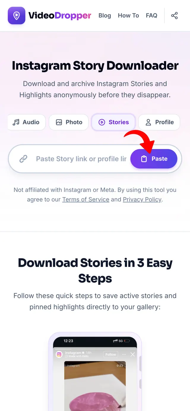 Step 2: Paste link into VideoDropper