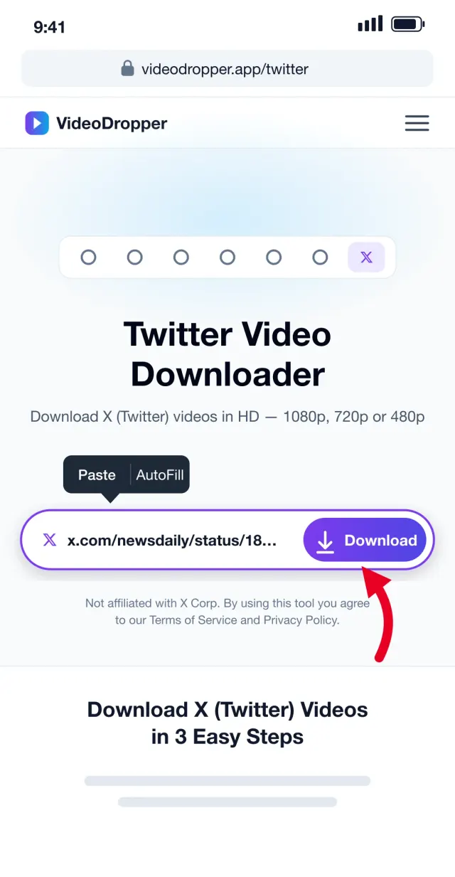 Step 2: Paste the X link into VideoDropper