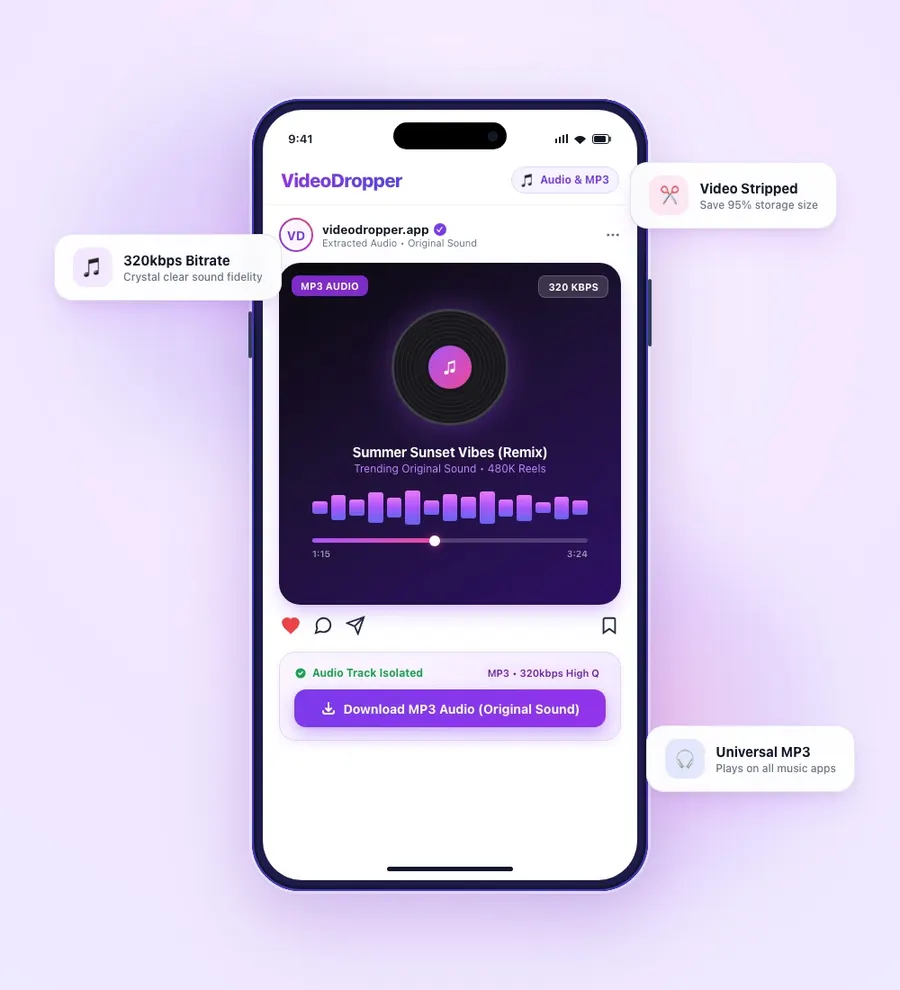 VideoDropper Instagram Audio and MP3 extractor mobile interface