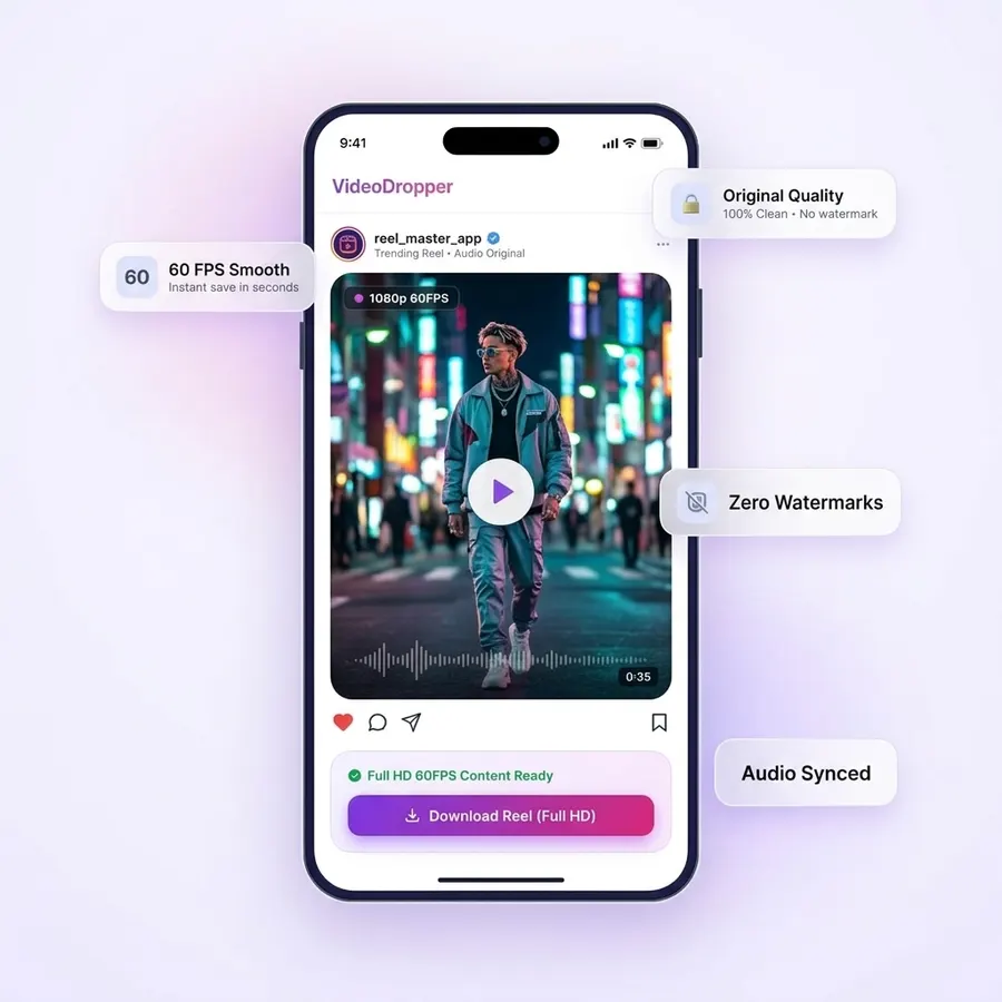VideoDropper Instagram Reels downloader mobile interface