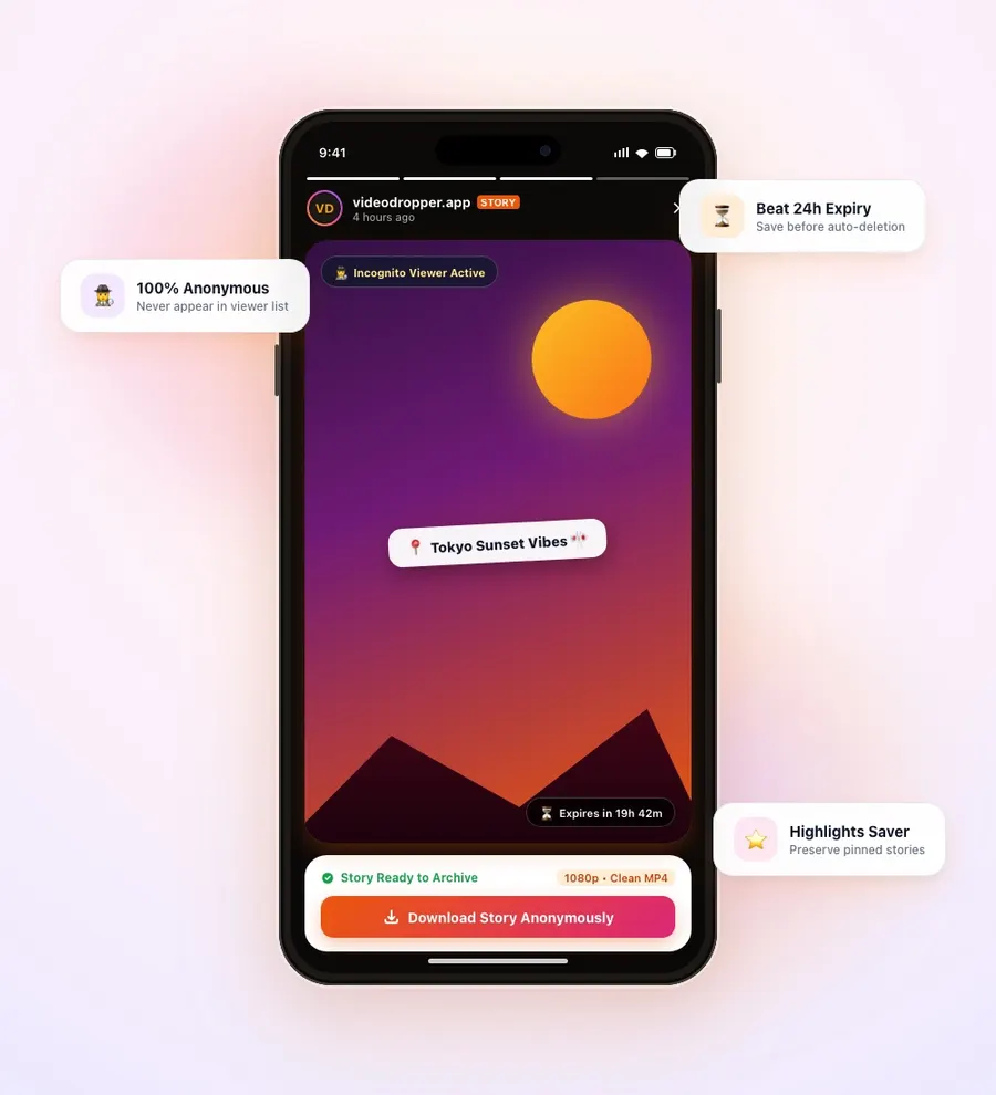 VideoDropper Instagram Stories and Highlights downloader mobile interface