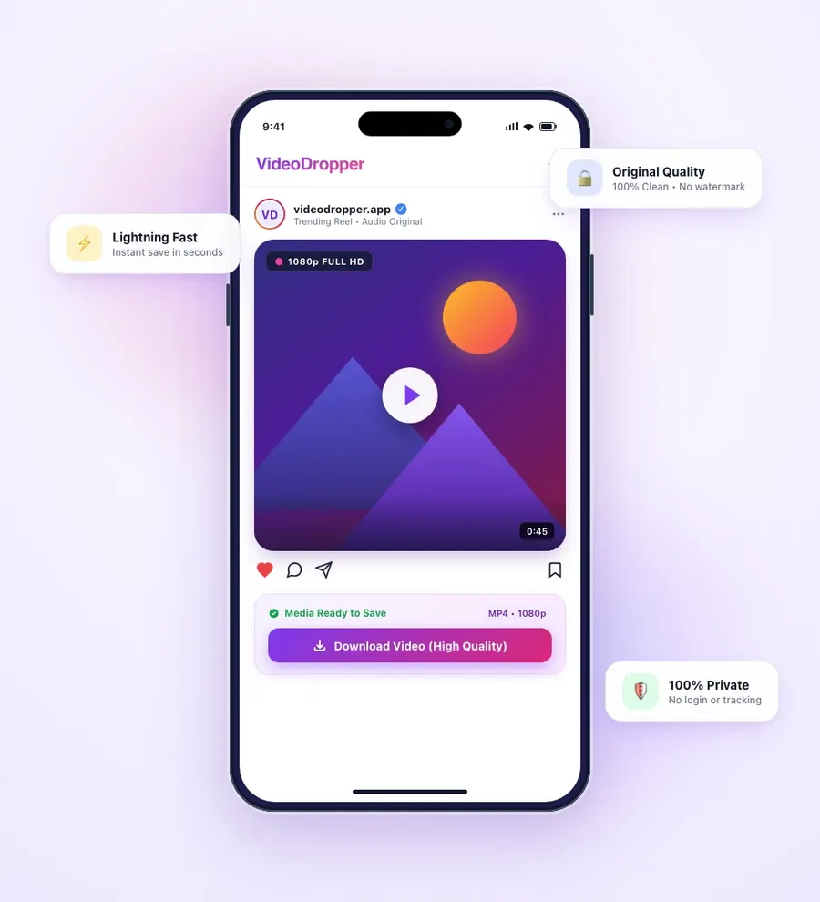 VideoDropper Instagram Video and Reels downloader mobile interface